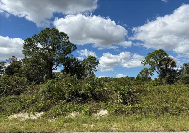 Photo 2 of Land for sale at 1203 Plumosa Ave #3, Lehigh Acres, FL 33972 | MLS# TB8560374 | Listing updated on 2026-10-22