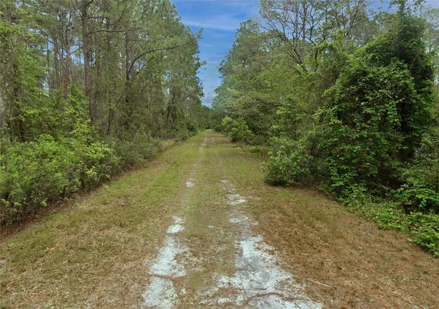 Photo 3 of Sale Pending at 210 Se 1st Street, Georgetown, FL 32139 | MLS# O6451819 | Listing updated on 2026-10-22