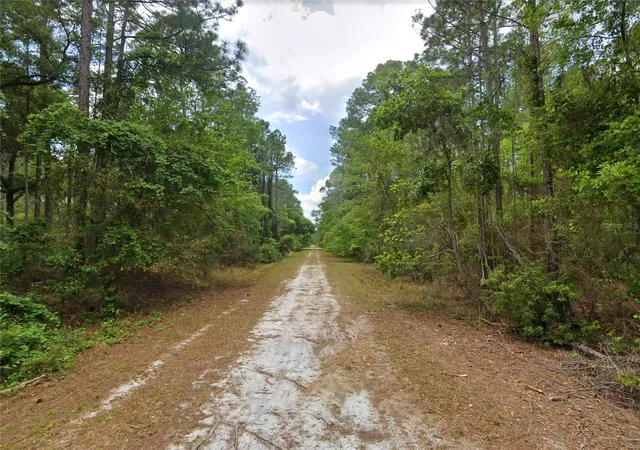 Photo 3 of Sale Pending at 210 SE 1st Street, Georgetown, FL 32139 | MLS# O6451819 | Listing updated on 2026-10-22