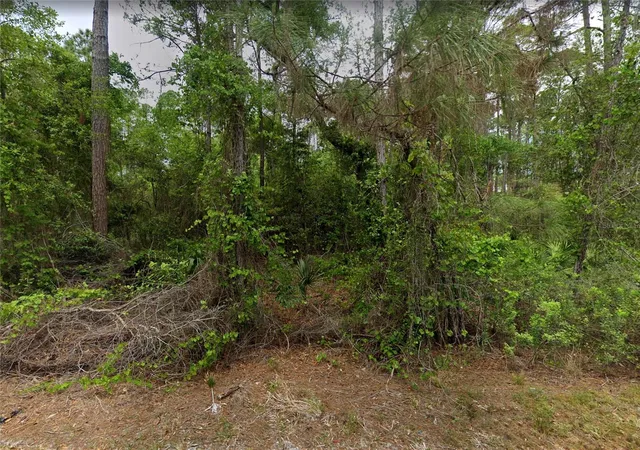 Photo 4 of Sale Pending at 210 SE 1st Street, Georgetown, FL 32139 | MLS# O6451819 | Listing updated on 2026-10-22