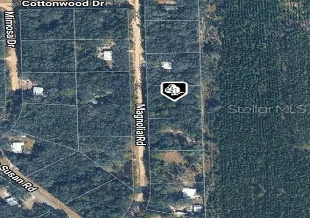 Photo 3 of Land for sale at 209 Magnolia Rd, Hawthorne, FL 32640 | MLS# D6149304 | Listing updated on 2026-10-23