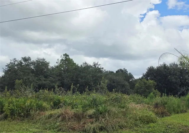 Photo 2 of Land for sale at 1514 Richmond Ave N, Lehigh Acres, FL 33972 | MLS# TB8560518 | Listing updated on 2026-10-29