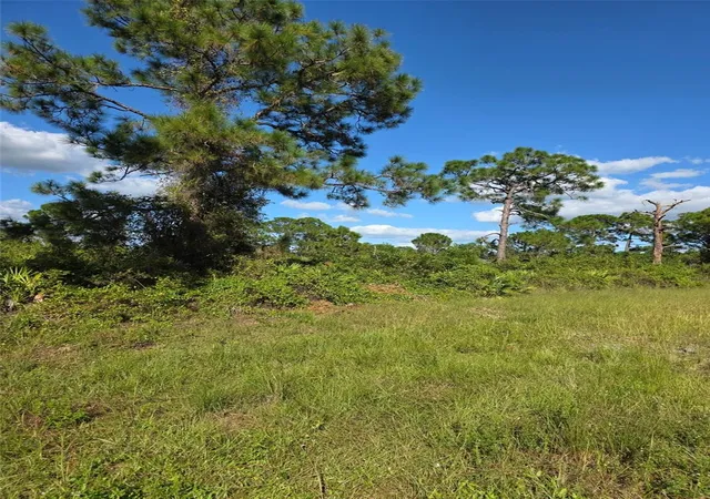 Photo 2 of Land for sale at 1115 Jaguar Blvd, Lehigh Acres, FL 33974 | MLS# C7532344 | Listing updated on 2026-10-23