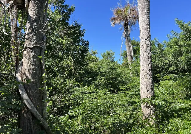 Photo 2 of Land for sale at 10048 Hel Lew Ct, Placida, FL 33946 | MLS# C7532347 | Listing updated on 2026-10-25