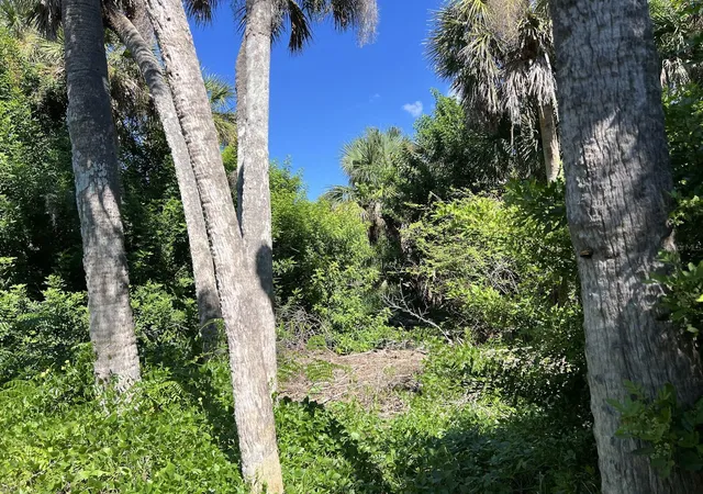 Photo 3 of Land for sale at 10048 Hel Lew Ct, Placida, FL 33946 | MLS# C7532347 | Listing updated on 2026-10-25
