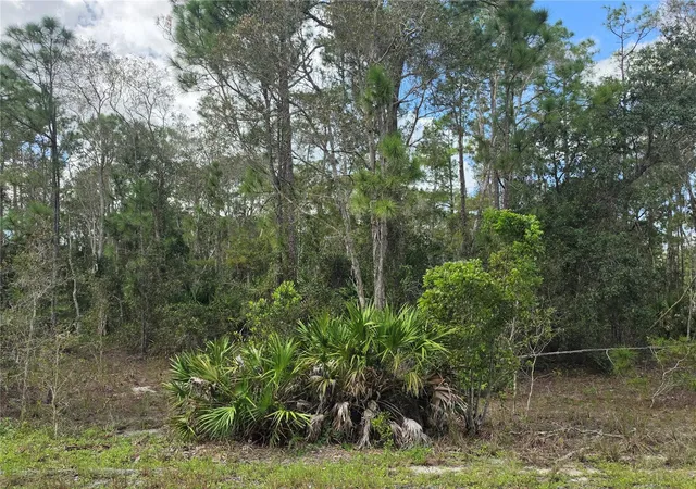 Photo 2 of Land for sale at 1012 Kodiak Ave, Lehigh Acres, FL 33974 | MLS# TB8560567 | Listing updated on 2026-10-29