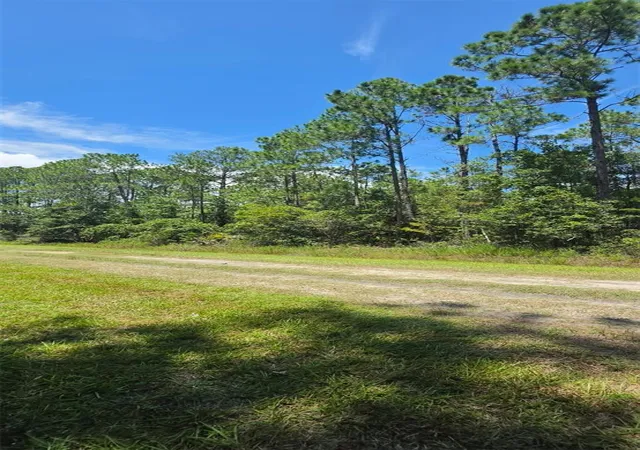 Land for sale at 4220 Isaac St, HASTINGS, FL 32145 | MLS# O6451983