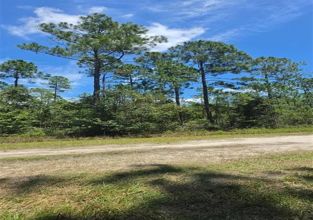 Photo 1 of Land for sale at 4220 Isaac St, Hastings, FL 32145 | MLS# O6451983 | Listing updated on 2026-10-23