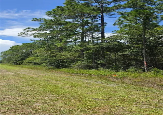 Photo 2 of Land for sale at 4220 Isaac St, Hastings, FL 32145 | MLS# O6451983 | Listing updated on 2026-10-23