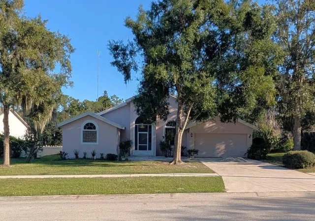 Single family home for sale at 10120 Sedgebrook Dr, RIVERVIEW, FL 33569 | MLS# TB8560678