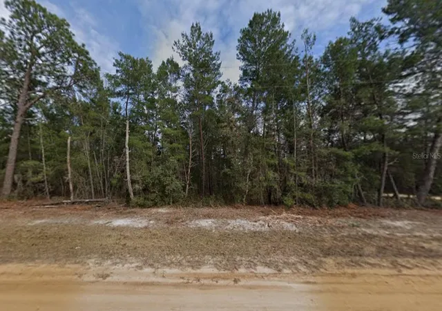 Photo 2 of Land for sale at Creager Ave, Interlachen, FL 32148 | MLS# K4903911 | Listing updated on 2026-10-23