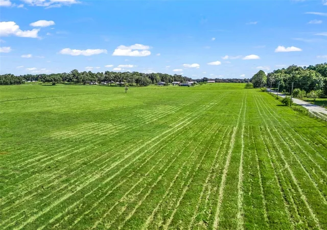Photo 4 of Land for sale at Cr 575, Bushnell, FL 33513 | MLS# TB8560754 | Listing updated on 2026-10-23