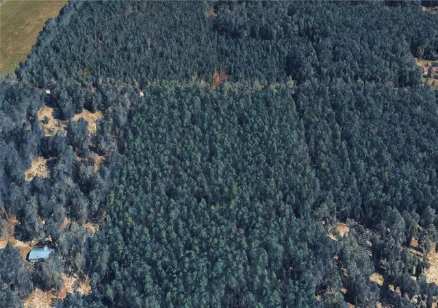 Photo 4 of Land for sale at NE 80 Avenue, High Springs, FL 32643 | MLS# TB8560858 | Listing updated on 2026-10-28