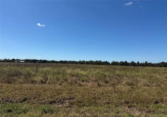 Land for sale at Himrod Rd, BOWLING GREEN, FL 33834 | MLS# A4710699