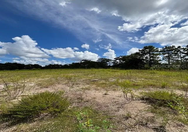Photo 2 of Land for sale at Babbitt Ave, Orlando, FL 32833 | MLS# O6452488 | Listing updated on 2026-10-25