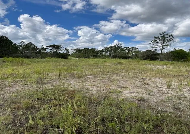 Photo 3 of Land for sale at Babbitt Ave, Orlando, FL 32833 | MLS# O6452488 | Listing updated on 2026-10-25