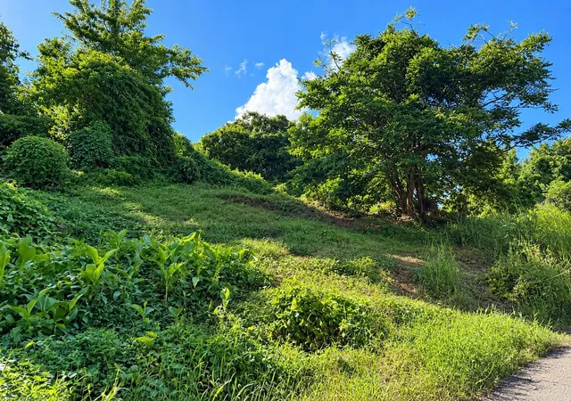 Photo 2 of Land for sale at Lot A Carr 956 Km 102, Rio Grande, PR 00745 | MLS# PR9125278 | Listing updated on 2026-10-29