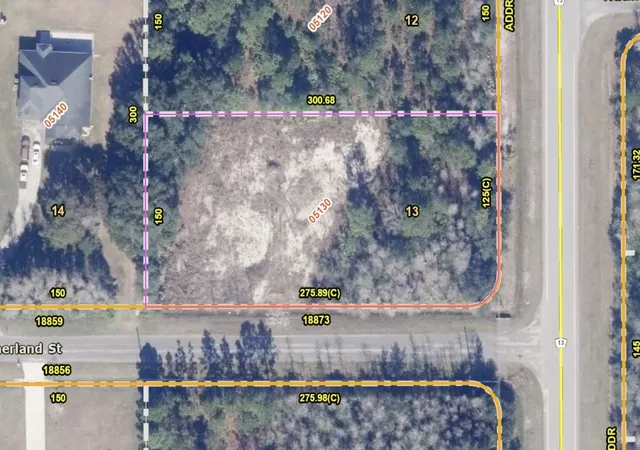 Land for sale at 18873 Netherland St, ORLANDO, FL 32833 | MLS# O6452979