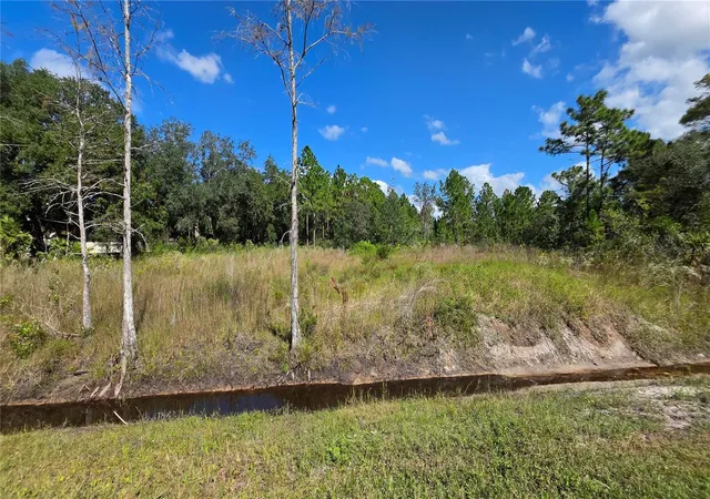 Photo 2 of Land for sale at 18873 Netherland St, Orlando, FL 32833 | MLS# O6452979 | Listing updated on 2026-10-28
