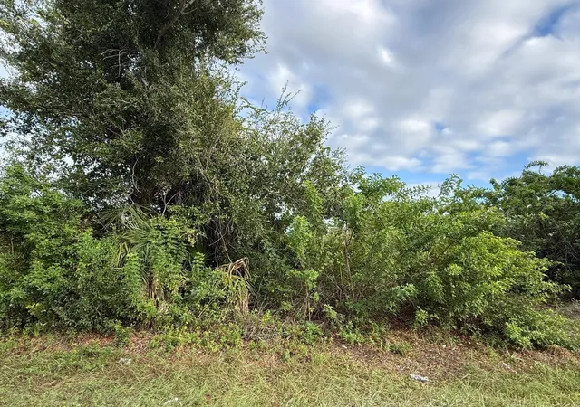 Photo 1 of Land for sale at 9236 Agate St, Port Charlotte, FL 33981 | MLS# A4710963 | Listing updated on 2026-10-29