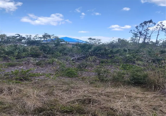Photo 4 of Land for sale at 9176 Casey St, Port Charlotte, FL 33981 | MLS# C7532563 | Listing updated on 2026-10-28