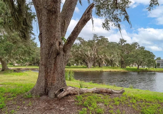 Photo 4 of Single family home for sale at 1917 Willow Wood Dr, Kissimmee, FL 34746 | MLS# S5160299 | Listing updated on 2026-10-28