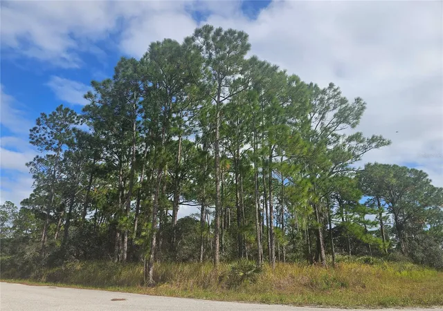 Land for sale at 1147 Wildflower St, LAKE PLACID, FL 33852 | MLS# P4940288