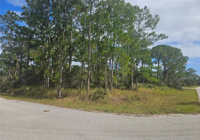 Photo 1 of Land for sale at 1147 Wildflower St, Lake Placid, FL 33852 | MLS# P4940288 | Listing updated on 2026-10-28