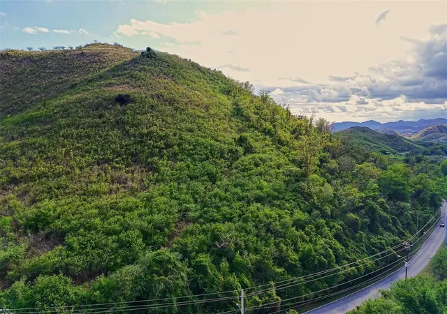 Photo 1 of Land for sale at Carr 713 Calle Gral Cordero, Salinas, PR 00751 | MLS# PR9125304 | Listing updated on 2026-10-28