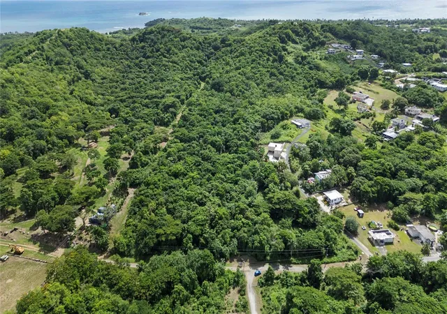 Land for sale at Bo Buena Vista, HUMACAO, PR 00791 | MLS# PR9125343