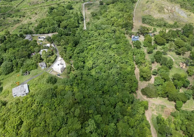Photo 2 of Land for sale at Bo Buena Vista, Humacao, PR 00791 | MLS# PR9125343 | Listing updated on 2026-10-29