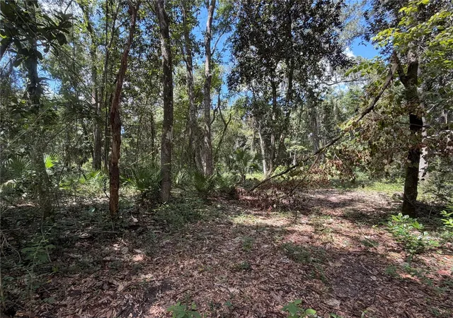 Photo 1 of Sale Pending at Sw 25th Avenue, Chiefland, FL 32626 | MLS# W7890727 | Listing updated on 2026-10-29