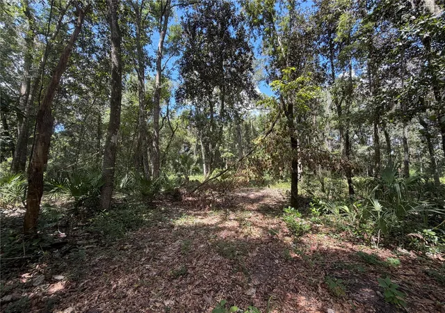 Photo 1 of Sale Pending at SW 25th Avenue, Chiefland, FL 32626 | MLS# W7890727 | Listing updated on 2026-10-29