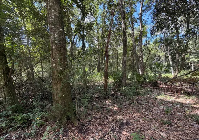 Photo 2 of Sale Pending at SW 25th Avenue, Chiefland, FL 32626 | MLS# W7890727 | Listing updated on 2026-10-29