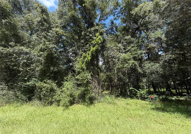 Photo 3 of Sale Pending at SW 25th Avenue, Chiefland, FL 32626 | MLS# W7890727 | Listing updated on 2026-10-29