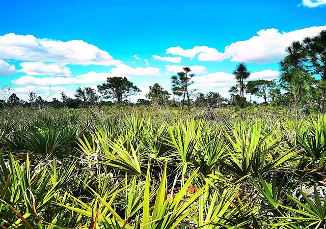 Photo 3 of Land for sale at 12140 Karney Ave, Port Charlotte, FL 33981 | MLS# O6453605 | Listing updated on 2026-10-30