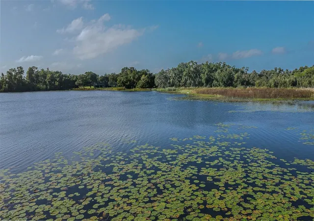 Photo 3 of Land for sale at 2125 W Bearss Ave, Tampa, FL 33618 | MLS# TB8562658 | Listing updated on 2026-10-30