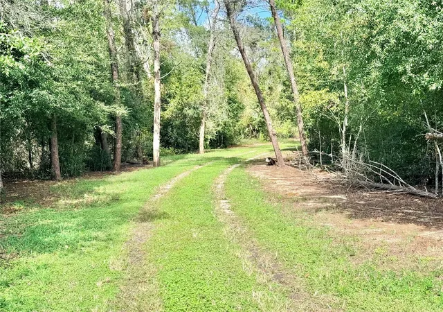 Photo 2 of Single family home for sale at 10933 N Em En El Grv Rd, Leesburg, FL 34788 | MLS# G5119613 | Listing updated on 2026-10-29