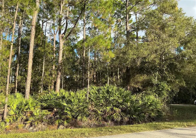 Photo 1 of Land for sale at 1589 Avocado Blvd, Bunnell, FL 32110 | MLS# OM734939 | Listing updated on 2026-10-30