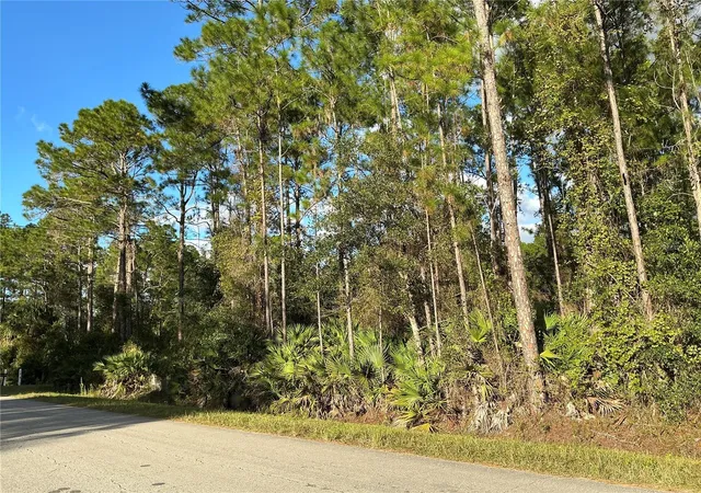 Photo 3 of Land for sale at 1589 Avocado Blvd, Bunnell, FL 32110 | MLS# OM734939 | Listing updated on 2026-10-30