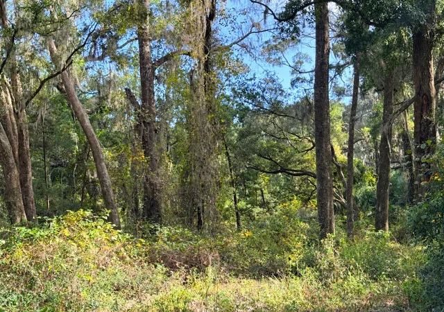 Photo 2 of Land for sale at 1190 NW 92nd Place, Chiefland, FL 32626 | MLS# GC544538 | Listing updated on 2026-10-30