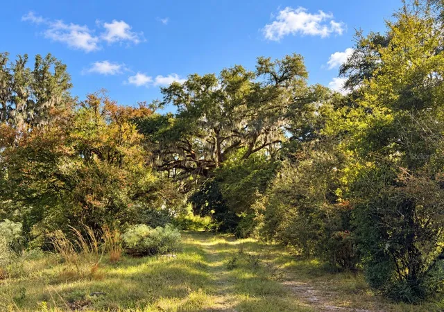Photo 3 of Land for sale at 1190 NW 92nd Place, Chiefland, FL 32626 | MLS# GC544538 | Listing updated on 2026-10-30