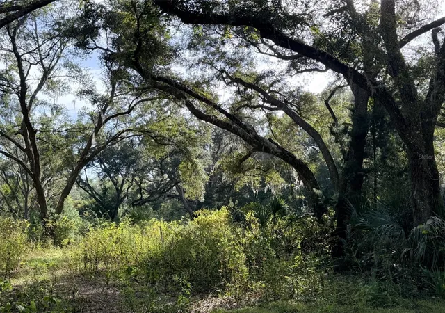 Photo 4 of Land for sale at 1190 NW 92nd Place, Chiefland, FL 32626 | MLS# GC544538 | Listing updated on 2026-10-30
