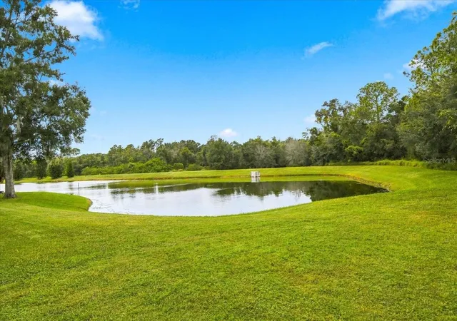 Photo 4 of Single family home for sale at 5909 Browder Rd, Tampa, FL 33625 | MLS# TB8563094 | Listing updated on 2026-10-30