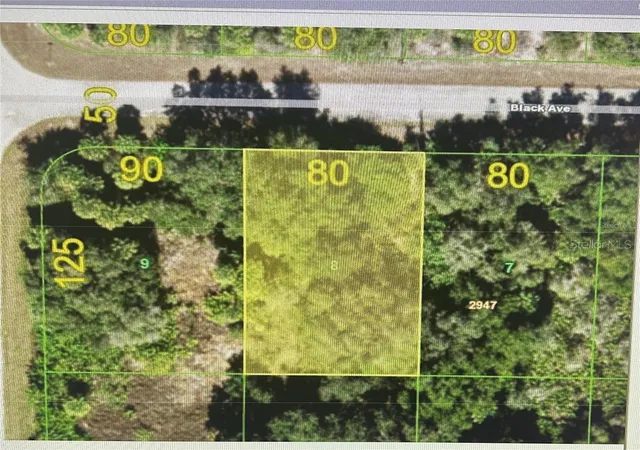 Land for sale at 14431 Black Ave, PORT CHARLOTTE, FL 33953 | MLS# A4711464