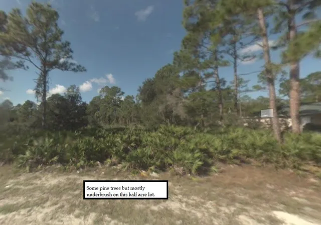 5th image of 2309 Johns Ave, Alva, FL 33920 | MLS# R10889872