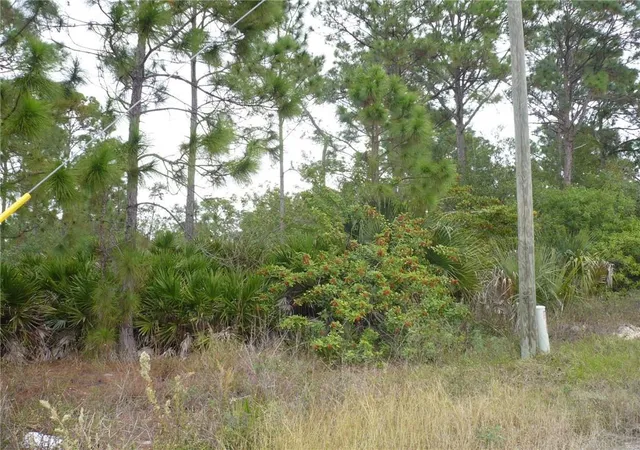 3rd image of 320 G Rd, Labelle, FL 33935 | MLS# F10214889