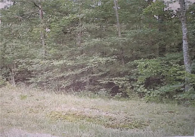 4th image of 10 Street Pl Loop, Monterey, TN 38574 | MLS# F10364070