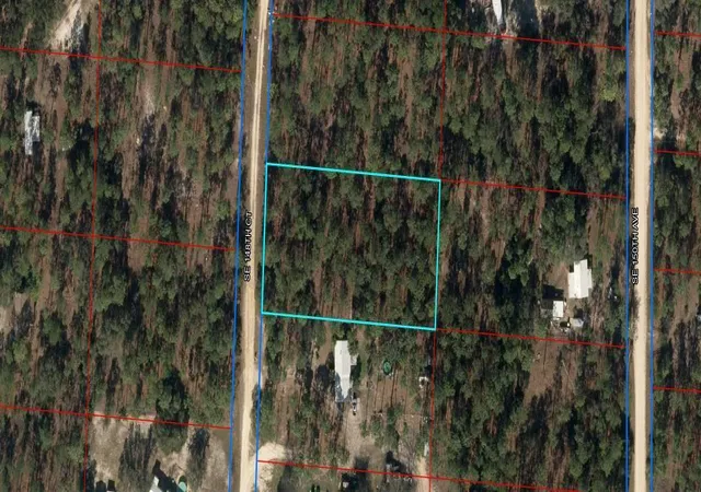 Homes for sale in Morriston, FL | 00 Se 148th Ct, Morriston, FL 32668 | MLS# R11079028