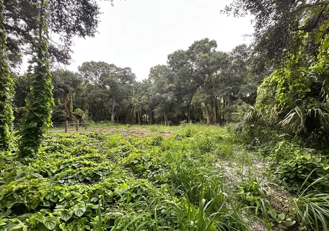 2nd image of 640 Ne 144th Dr, Okeechobee, FL 34972 | MLS# F10519316